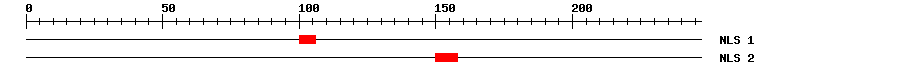 NLS