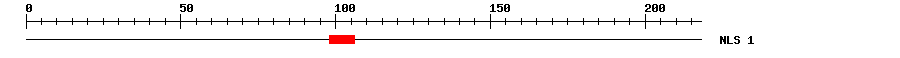 NLS