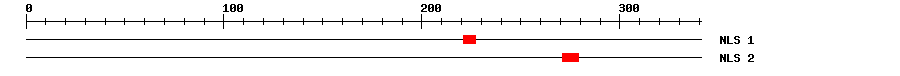 NLS