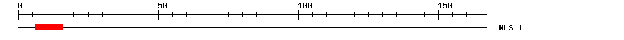 NLS