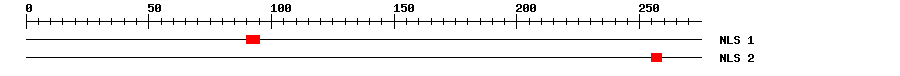 NLS