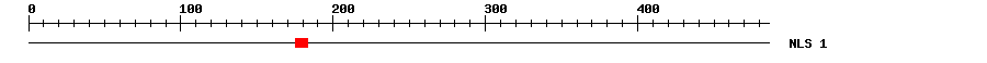 NLS