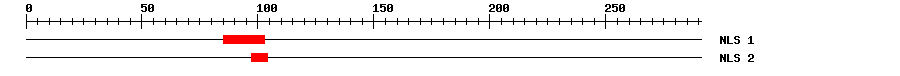 NLS