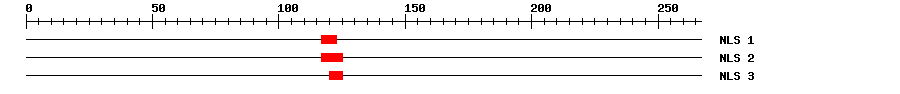NLS