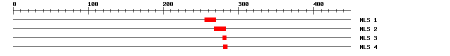NLS