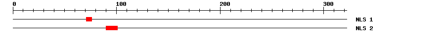 NLS