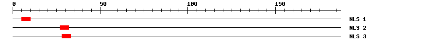 NLS