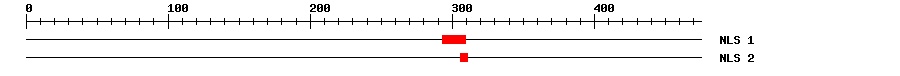 NLS