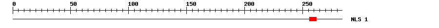 NLS