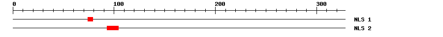 NLS
