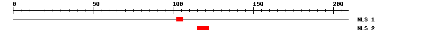 NLS