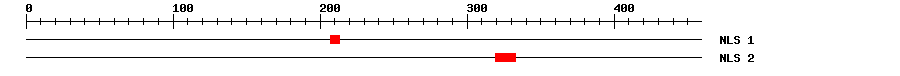 NLS