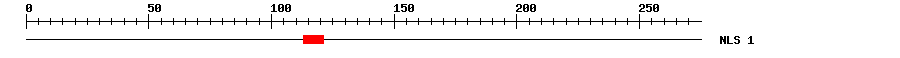 NLS