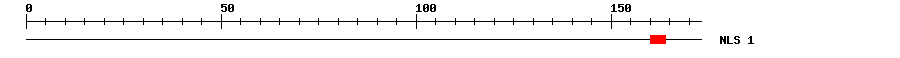 NLS