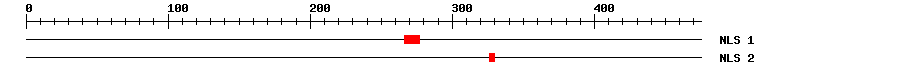NLS