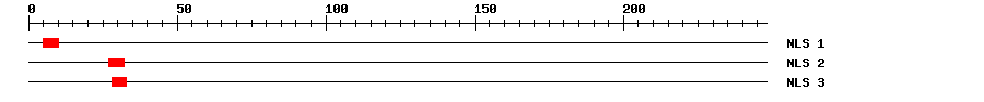 NLS