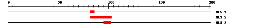 NLS