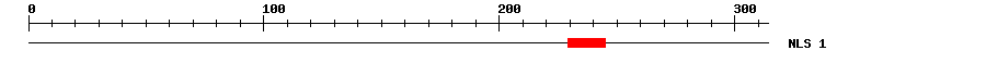 NLS