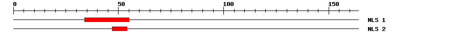 NLS