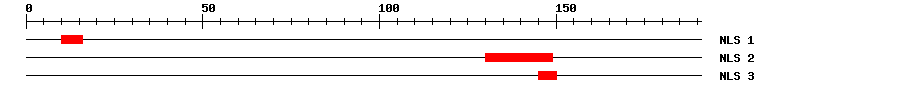 NLS
