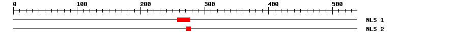 NLS