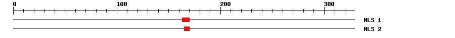 NLS