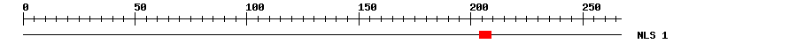 NLS