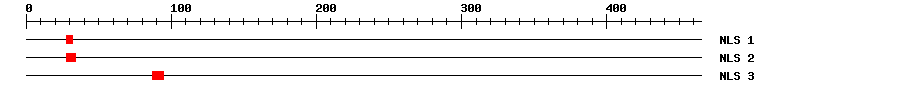 NLS