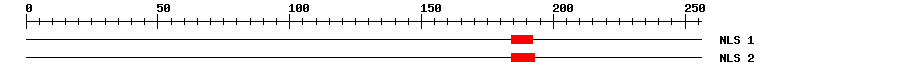 NLS