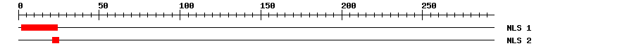 NLS