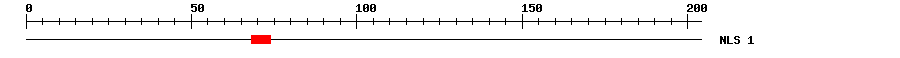 NLS