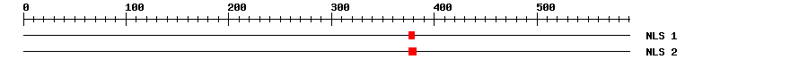 NLS