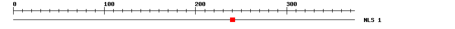 NLS