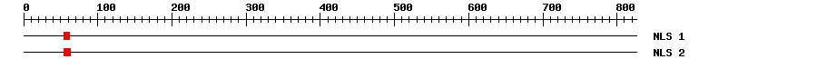 NLS