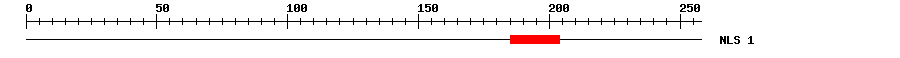 NLS