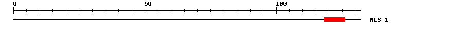 NLS