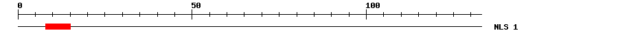 NLS