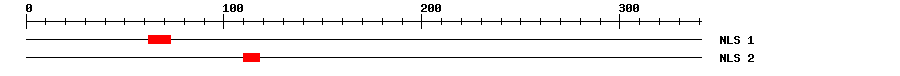 NLS