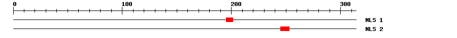NLS