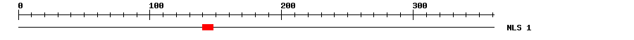 NLS