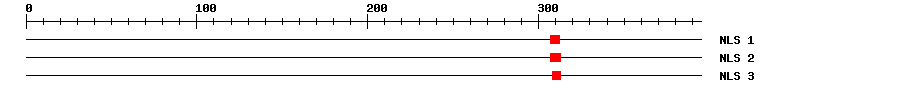 NLS