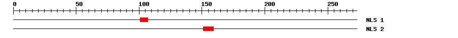 NLS
