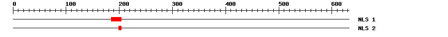 NLS