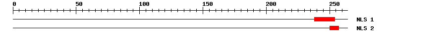 NLS