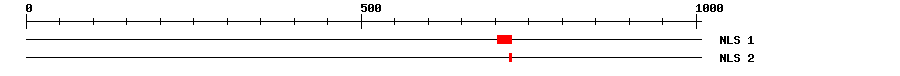 NLS