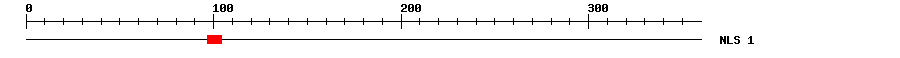 NLS