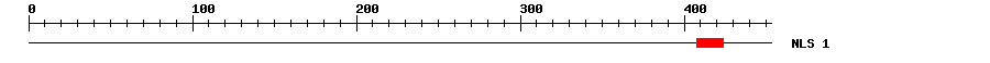 NLS