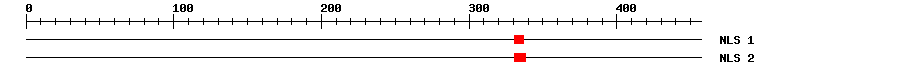 NLS