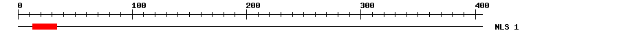 NLS