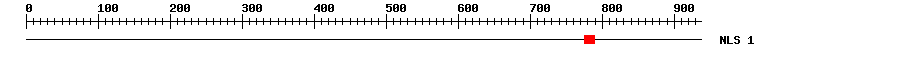 NLS